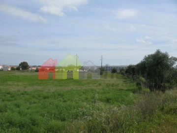 Terreno para Venda em Bacelo e Senhora da Saúde