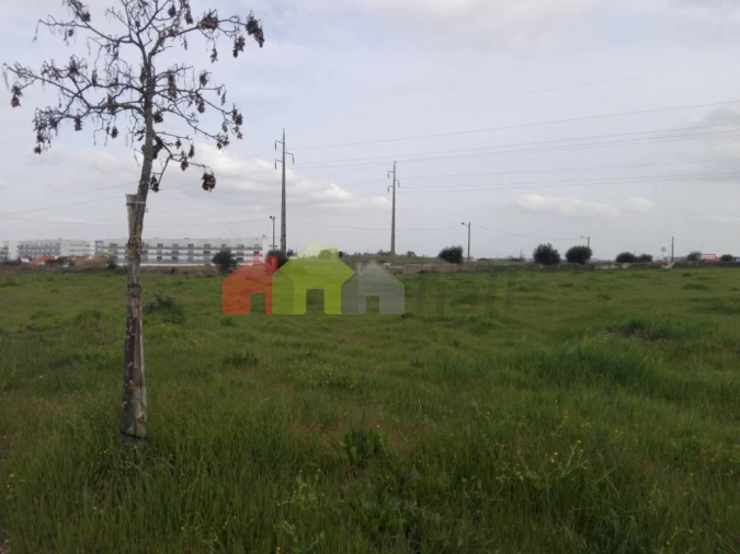 Terreno para Venda em Bacelo e Senhora da Saúde Foto 4