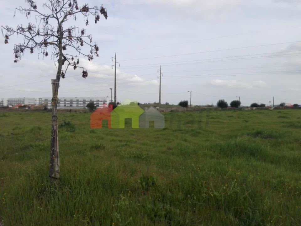 Terreno para Venda em Bacelo e Senhora da Saúde Foto 4