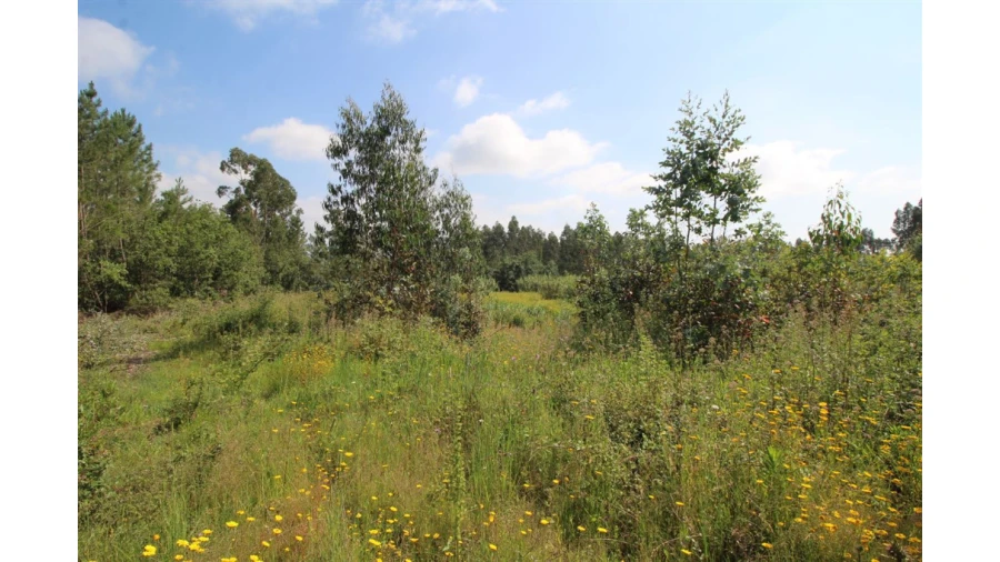Terreno para Venda em Anobra Foto 2