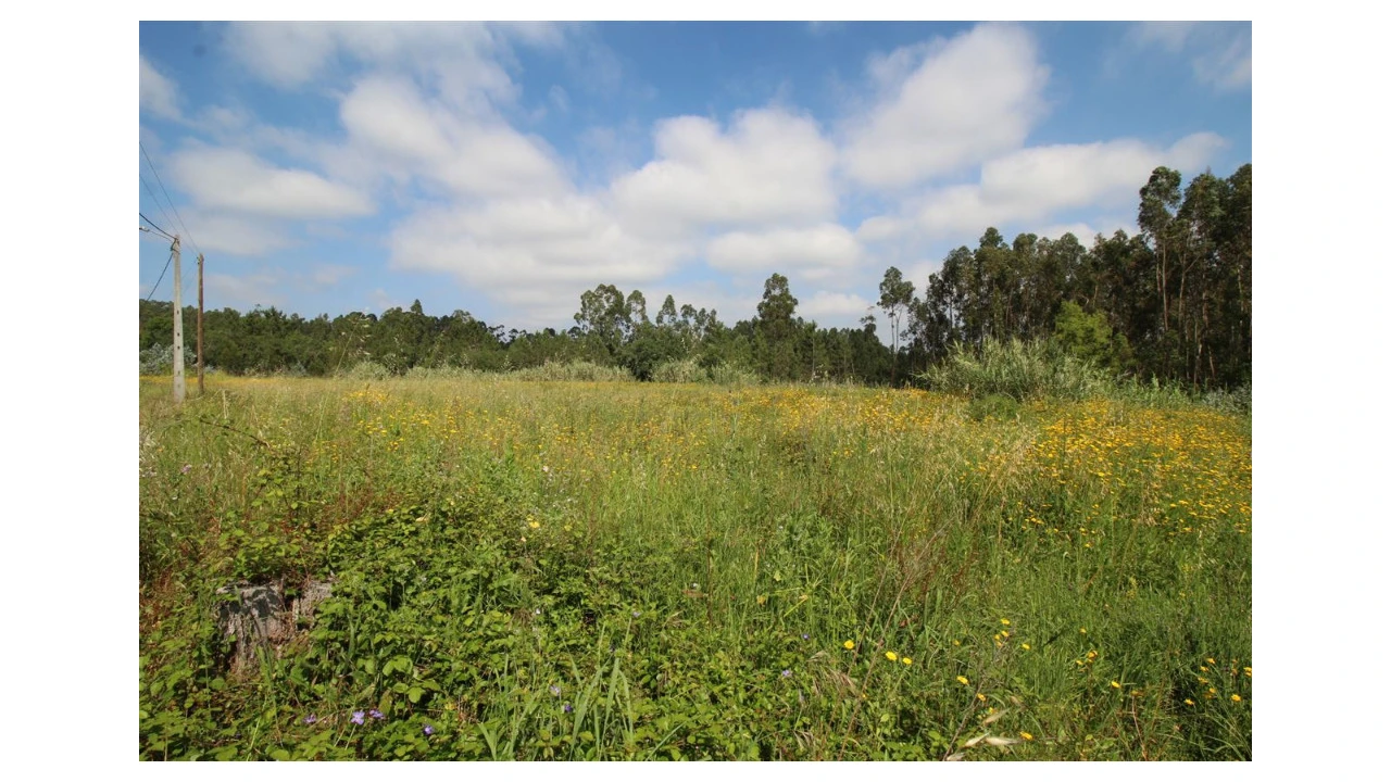 Terreno para Venda em Anobra Foto 3