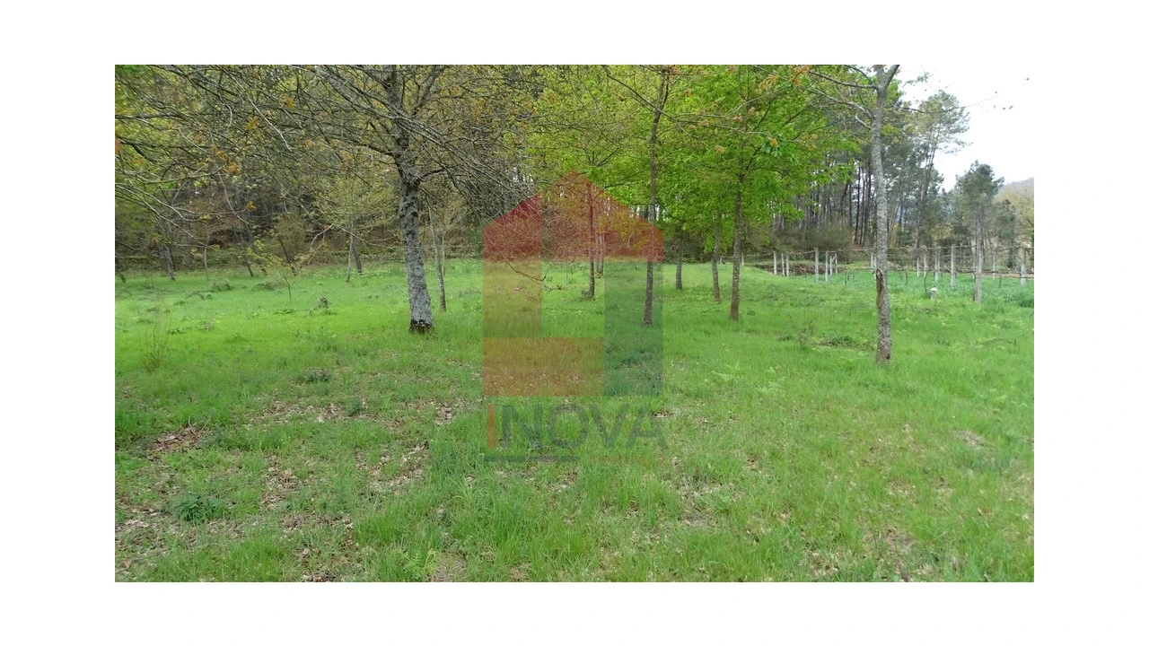 Terreno para Venda em Coucieiro Foto 1