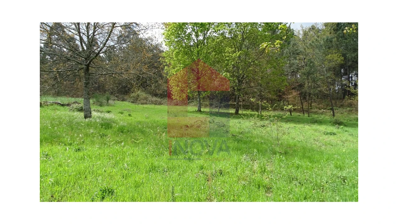 Terreno para Venda em Coucieiro Foto 6