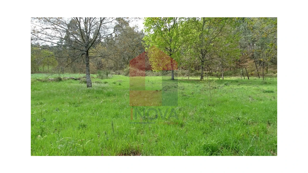 Terreno para Venda em Coucieiro Foto 5