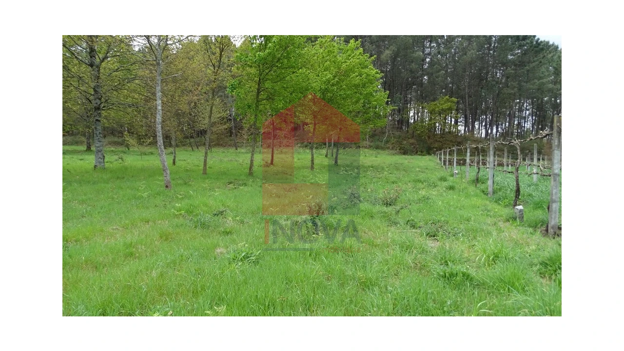 Terreno para Venda em Coucieiro Foto 2