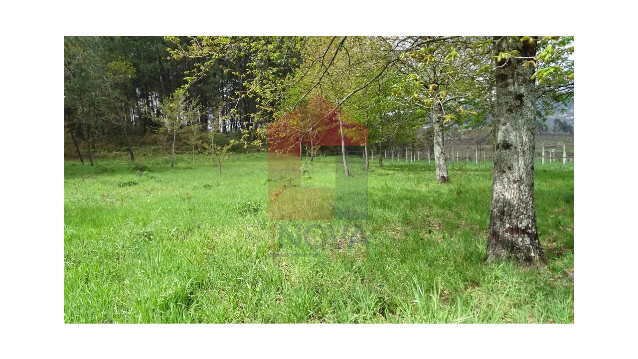 Terreno para Venda em Coucieiro Foto 7