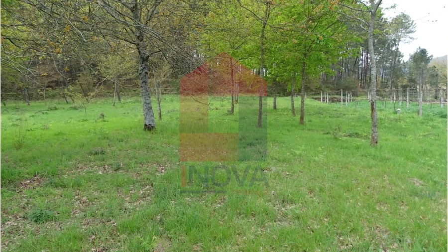 Terreno para Venda em Coucieiro