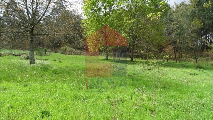 Terreno para Venda em Coucieiro Foto 6