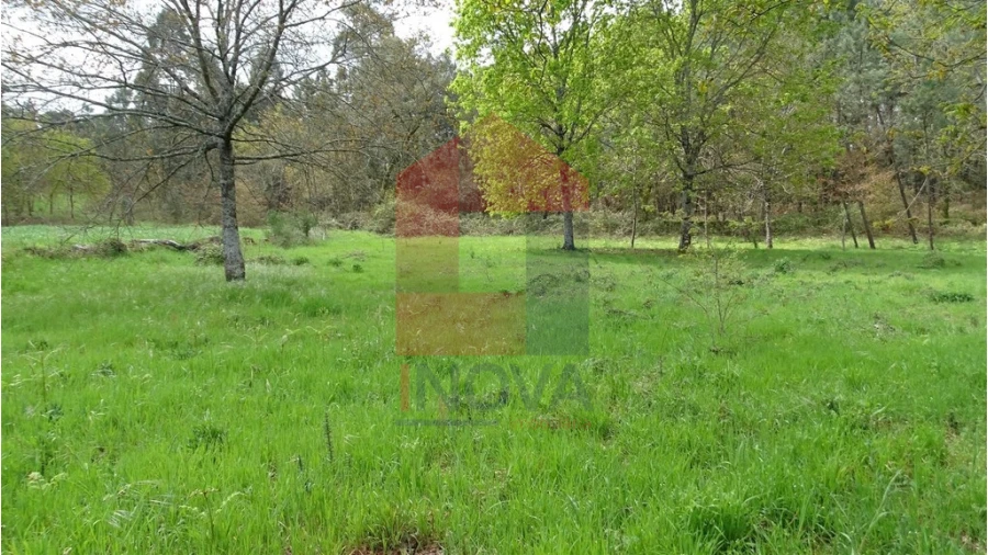 Terreno para Venda em Coucieiro Foto 5