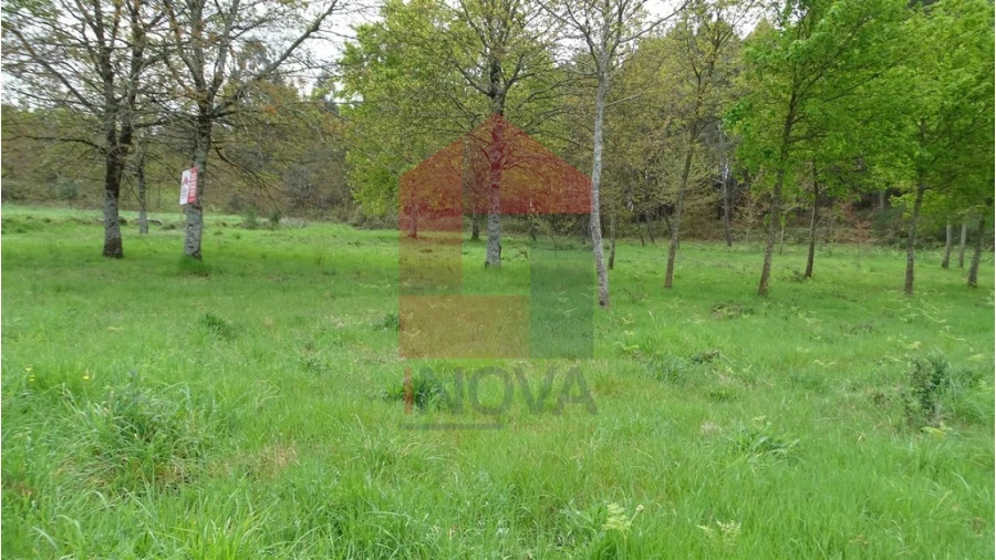 Terreno para Venda em Coucieiro Foto 3