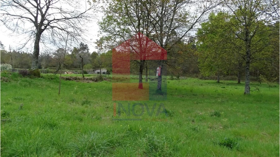 Terreno para Venda em Coucieiro Foto 4