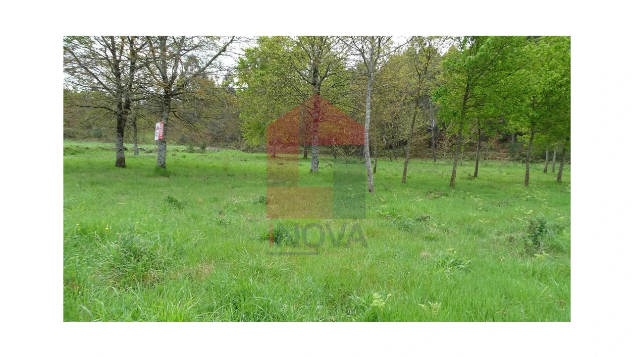 Terreno para Venda em Coucieiro Foto 3