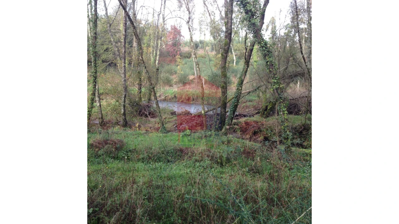 Moradia para Venda em Esqueiros, Nevogilde e Travassós Foto 5