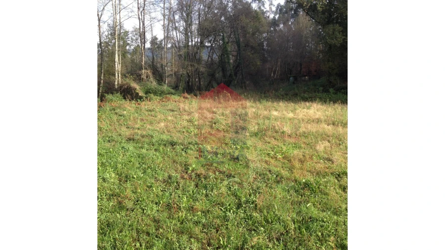 Moradia para Venda em Esqueiros, Nevogilde e Travassós Foto 2