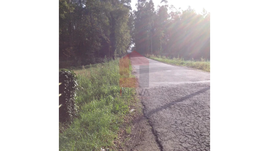 Moradia para Venda em Esqueiros, Nevogilde e Travassós Foto 10