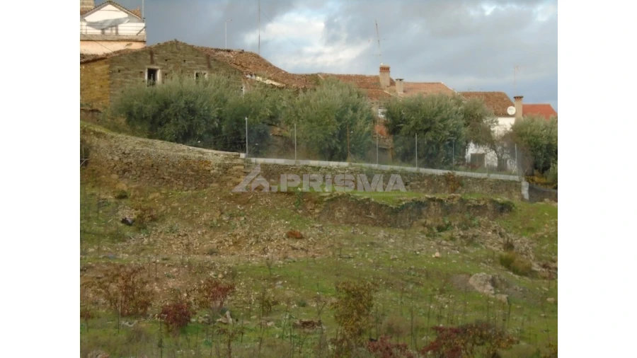 Moradia para Venda em Cebolais de Cima e Retaxo Foto 3