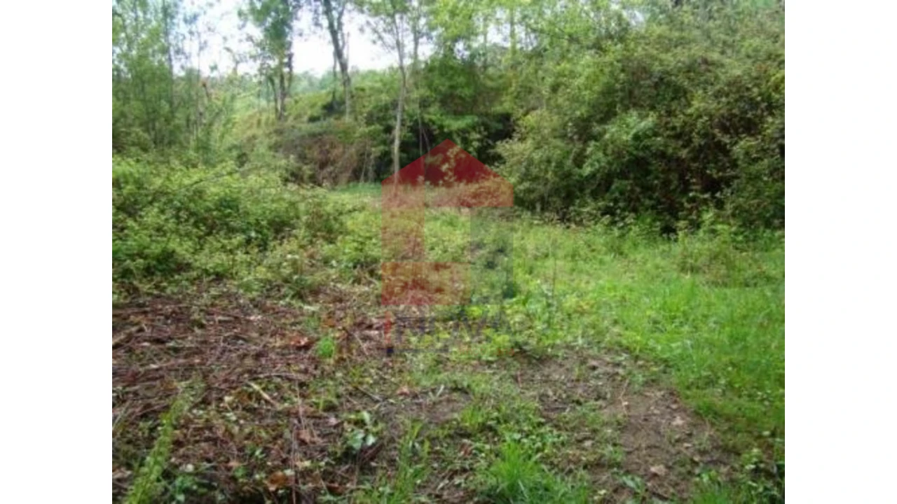 Terreno para Venda em Valdreu Foto 1