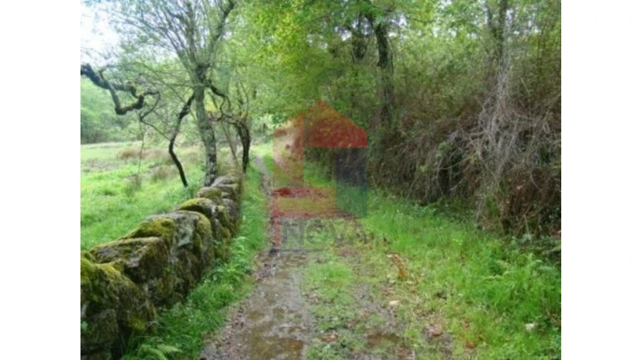 Terreno para Venda em Valdreu Foto 4