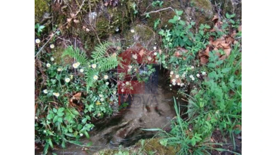 Terreno para Venda em Valdreu Foto 5