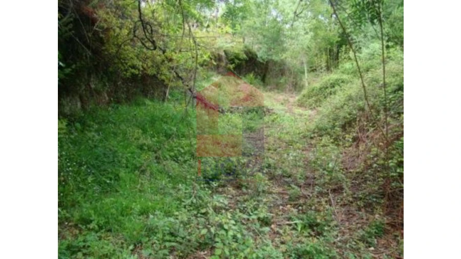 Terreno para Venda em Valdreu Foto 2
