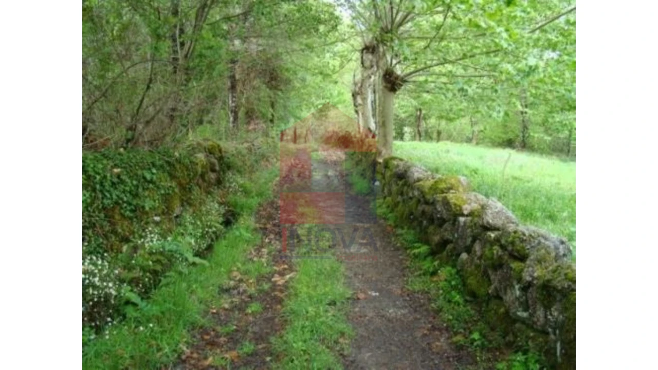 Terreno para Venda em Valdreu Foto 3