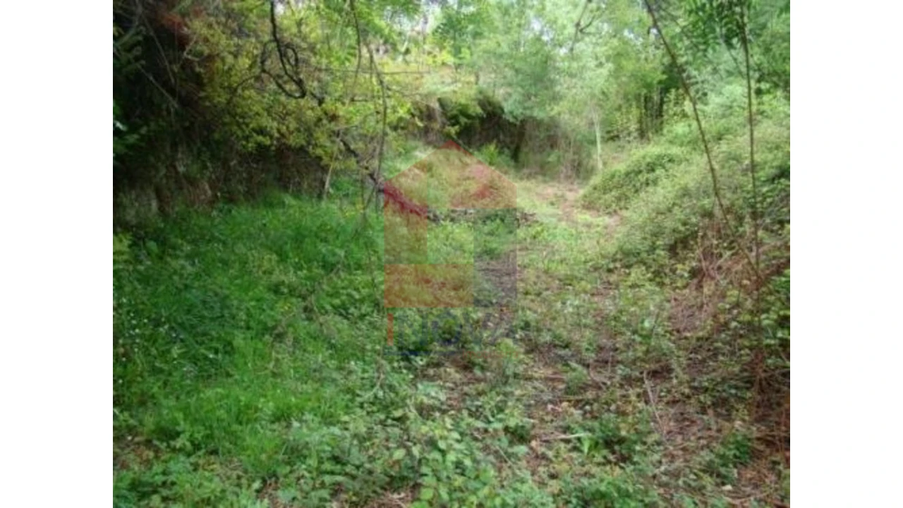 Terreno para Venda em Valdreu Foto 2