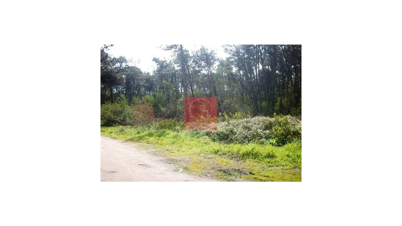 Terreno para Venda em Gemeses Foto 3