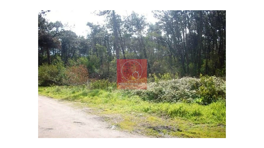 Terreno para Venda em Gemeses Foto 3