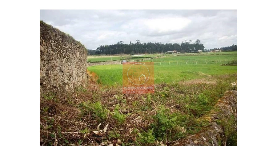 Terreno para Venda em Gemeses