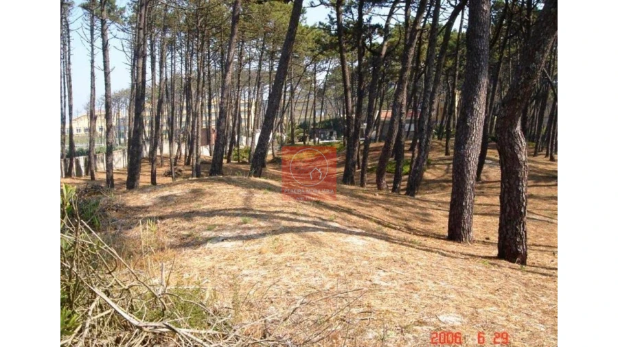 Terreno para Venda em Gemeses Foto 2