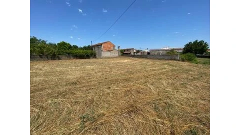 Terreno para Venda em São João do Campo