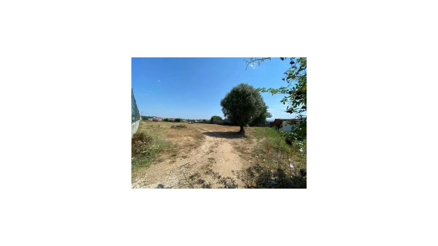 Terreno para Venda em São João do Campo Foto 4