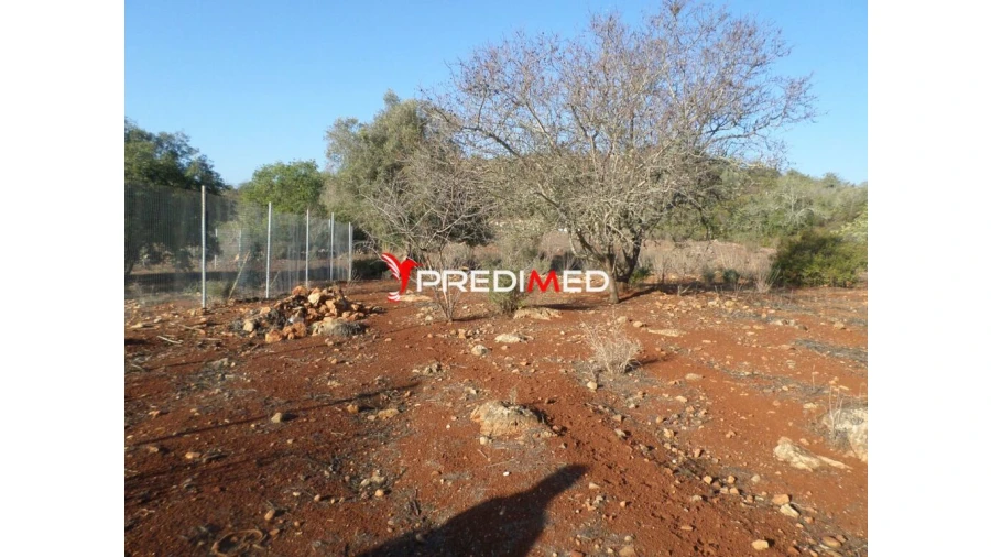 Quinta para Venda em Portimão Foto 7