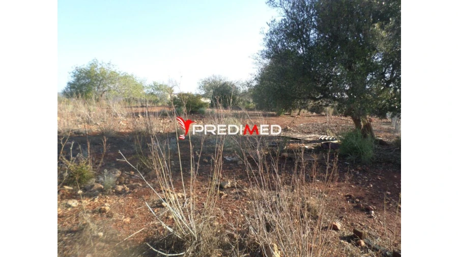 Quinta para Venda em Portimão Foto 8