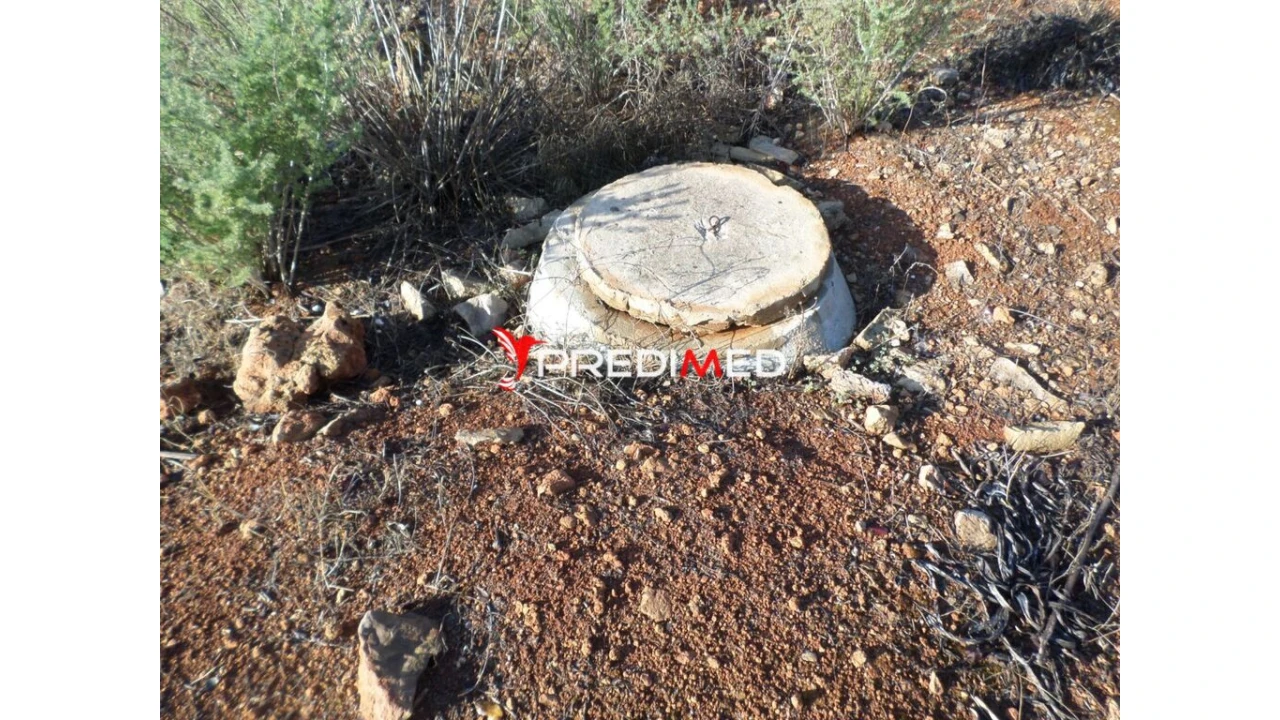 Quinta para Venda em Portimão Foto 5