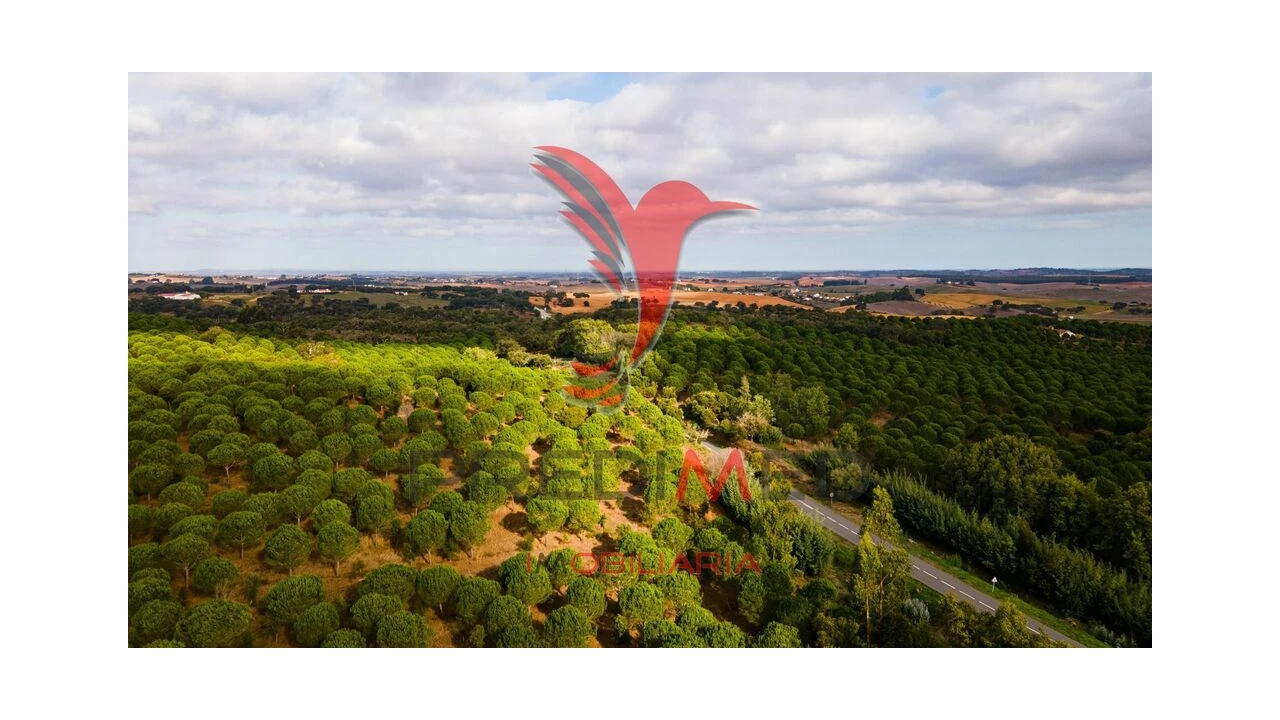 Terreno para Venda em Cercal Foto 11