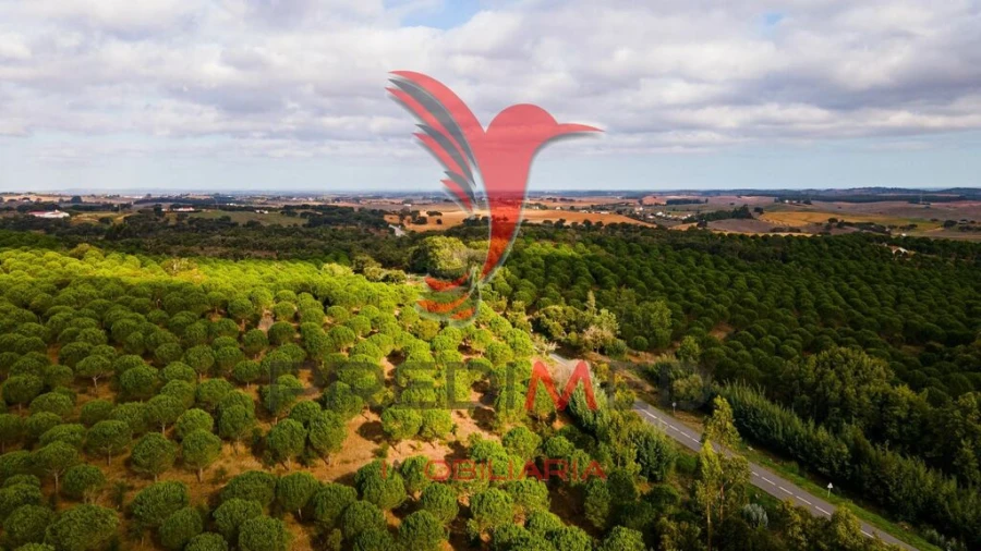 Terreno para Venda em Cercal Foto 11