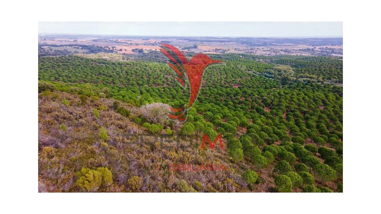Terreno para Venda em Cercal Foto 16