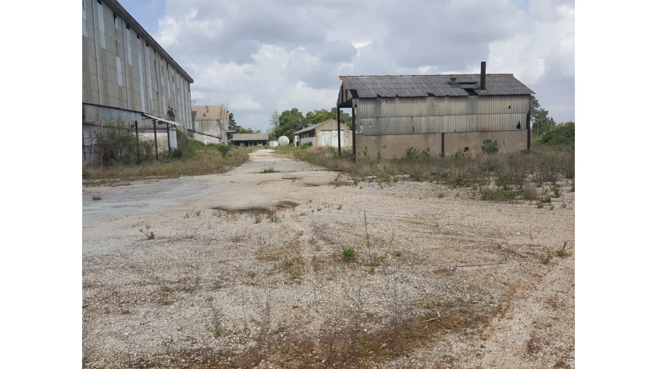 Armazém para Venda em Cartaxo e Vale da Pinta Foto 1