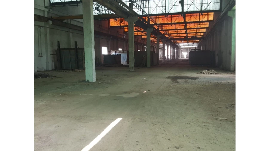 Armazém para Venda em Cartaxo e Vale da Pinta Foto 13