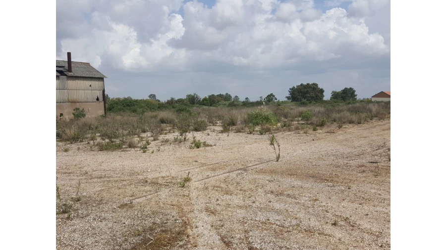 Armazém para Venda em Cartaxo e Vale da Pinta Foto 4