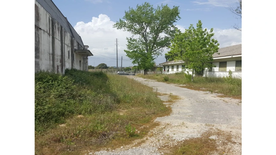 Armazém para Venda em Cartaxo e Vale da Pinta Foto 7