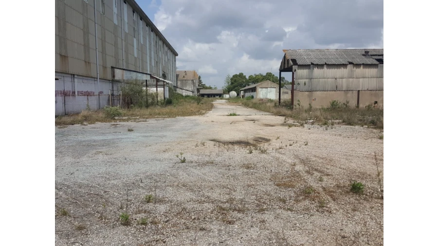 Armazém para Venda em Cartaxo e Vale da Pinta Foto 5