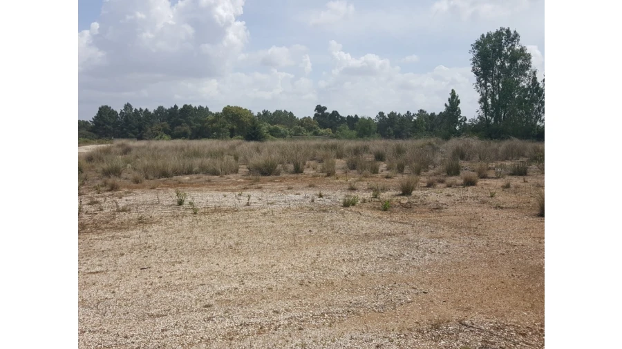 Armazém para Venda em Cartaxo e Vale da Pinta Foto 3