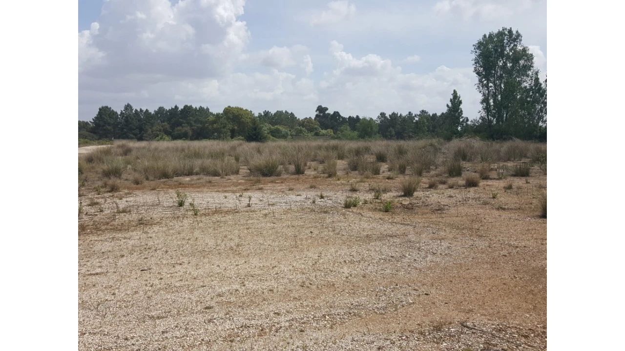 Armazém para Venda em Cartaxo e Vale da Pinta Foto 3