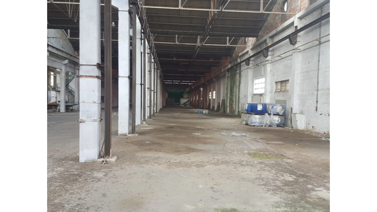 Armazém para Venda em Cartaxo e Vale da Pinta Foto 15