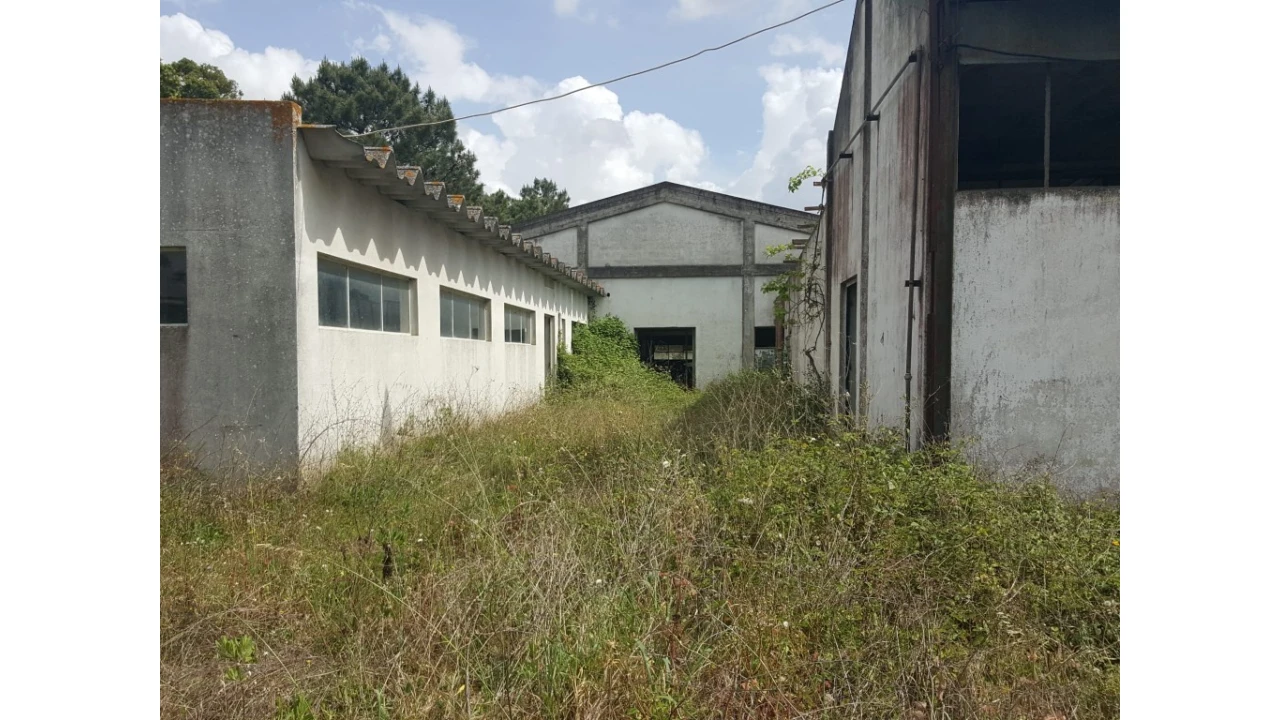 Armazém para Venda em Cartaxo e Vale da Pinta Foto 6