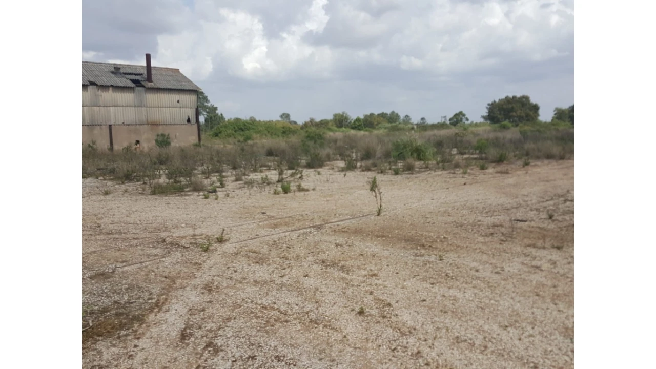Armazém para Venda em Cartaxo e Vale da Pinta Foto 2