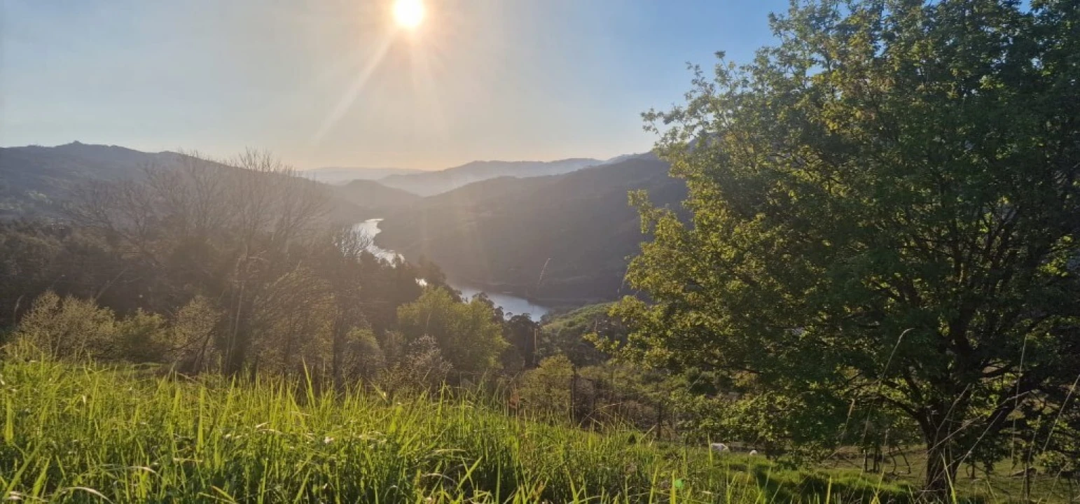 Terreno para Venda em Caniçada e Soengas Foto 4
