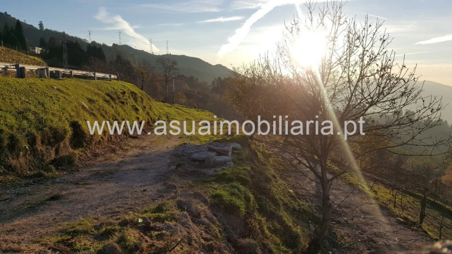Terreno para Venda em Caniçada e Soengas Foto 4